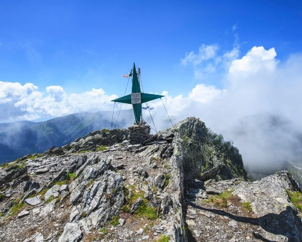 Drumeție ➤ Vf. Lespezi 2517 m + Cornul Călțunului 