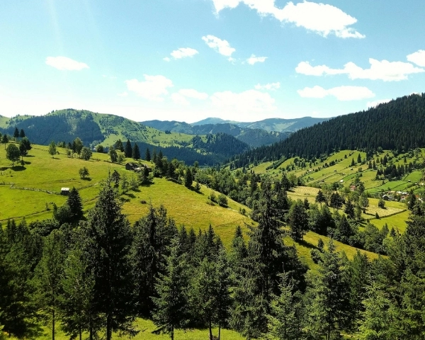 Relax Tour: Vatra Dornei • Colibița • Ciocănești